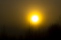 Soft focus. Early morning. The sun is very bright. Very thick and heavy fog