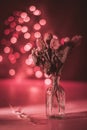 Still life- dark background and bokeh Royalty Free Stock Photo