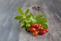 Soft focus of fresh barberry fruits on a wooden table