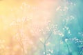 Soft focus Grass Flower blooming at sunrise,  abstract spring ,autumn nature background Royalty Free Stock Photo