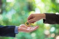 Soft focus of Hands businessmen are trading coin of golden bitcoin. A symbolic coins of golden bitcoin. electronic money exchange, Royalty Free Stock Photo