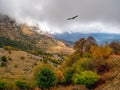 Soft focus. Highway through a mountain pass. Hawk over the mountain. Wonderful scenery with rocks and mountains in dense low