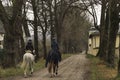 Soft focus horse riders back to camera in autumn park dirt trail moody weather time after rain with a lot of mud on ground outdoor