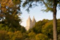Soft focus image of trees and folliage in Central park, NY Royalty Free Stock Photo