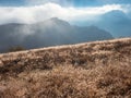 Morning wet dew sparkles in the sun. Mountains on a sunny foggy morning. Bright autumn field of grass covered with dew on the Royalty Free Stock Photo