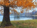 Soft focus. Mystical morning autumn landscape with fog over the lake. Foggy autumn landscape with State Museum Reserve Gatchina Royalty Free Stock Photo