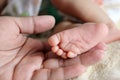 Soft focus of newborn tiny baby feet in parent hands Royalty Free Stock Photo