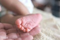 Soft focus of newborn tiny baby feet in parent hands Royalty Free Stock Photo