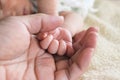 Soft focus of newborn tiny baby hand on parent hands. Royalty Free Stock Photo