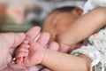 Soft focus of newborn tiny baby hand on parent hands. Royalty Free Stock Photo