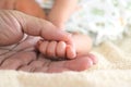 Soft focus of newborn tiny baby hands in parent hands Royalty Free Stock Photo