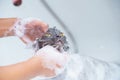 Soft focus and noise and grain. Hairdresser doing beauty care funny wet relaxing a bath or beauty salon for white persian cat or Royalty Free Stock Photo