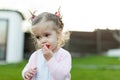 Soft focus photo of little curly girl with two tails walking in the backyard on the green grass Royalty Free Stock Photo