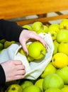 Soft focus photo. Woman is putting apples in reusable shopping bag. Zero waste. Ecologically and environmentally friendly packets Royalty Free Stock Photo