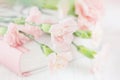 Soft focus of pink carnation flowers and book, pastel background Royalty Free Stock Photo