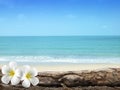 Soft focus of Plumeria with white sand and beautiful blue sea over clear blue sky