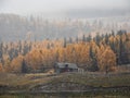 Soft focus, poor visibility. Snow during fall. Small house under the mountain. Golden autumn landscape of snowy foggy morning in Royalty Free Stock Photo