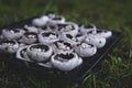 Soft focus of prepared portabella mushrooms stuffed with cheese on a lawn during an outdoor picnic