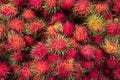 Soft focus of Rambutan red sweet and delicious fruit.The rambutan is native to the Indonesian region, and other regions of