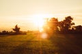 Soft focus Rice field and sky background at sunset time with sun rays Royalty Free Stock Photo