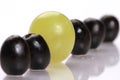 Soft focus of a row of olives and a grape standing out in the middle - concept of uniqueness Royalty Free Stock Photo