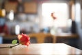 soft focus on a single red rose on a table in the foreground Royalty Free Stock Photo