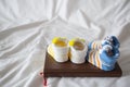 Soft Focus and Smooth Focus,Two pairs of newborn shoes laying on a book in the expectant mother`s bedroom are the shoes of the Royalty Free Stock Photo