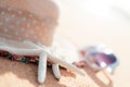 Soft focus on starfish. Royalty Free Stock Photo