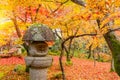 Soft focus stone lantern and beautiful colorful view of japanese garden in autumn season Royalty Free Stock Photo