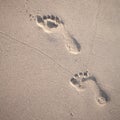 Soft focus and tone of footprints on the tropical beach sand wit