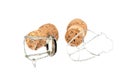 Soft focus of two champagne corks and a muzlet separately on a white background Royalty Free Stock Photo