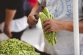 Soft focus of a vendor selling nopal at the streets of Zacatecas, Mexico Royalty Free Stock Photo