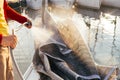 Man washes folded sail on boat or yacht in port