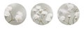 Soft focus White flower on blur beige background Royalty Free Stock Photo