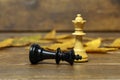 Soft focus of a white queen chess piece defeating the black king - a concept of victory