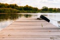 Wooden pier with black tire illuminated with sunlight near green reeds on river