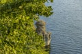 Soft focus yellow green foliage spring time nature with top scenic peaceful view on lake water surface and picturesque rocky cliff