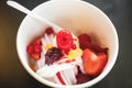 Soft focus, yogurt ice cream with berry fruits, healthy dessert Royalty Free Stock Photo