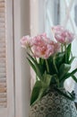 A soft focused bouquet of pink tulips in a big old vase on a win Royalty Free Stock Photo