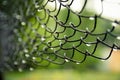 Soft focused view of raindrops on a wicker iron fence. Close-up Royalty Free Stock Photo