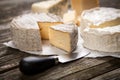 Soft french cheese Royalty Free Stock Photo