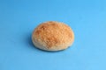 Soft and fresh sesame bun on a blue background Royalty Free Stock Photo