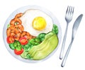Soft fried egg with shrimps, fresh salad and avocado. Watercolor illustration