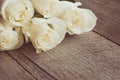 Soft full blown white roses as a neutral background on wooden board. Selective focus. Royalty Free Stock Photo