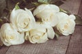 Soft full blown white roses as a neutral background on wooden board. Selective focus. Toned image. Royalty Free Stock Photo