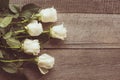 Soft full blown white roses as a neutral background on wooden board. Toned image. Top view. Royalty Free Stock Photo