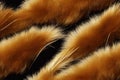 Soft furry decorative seamless pattern with wool texture. Design fragment of wavy fur fabric textile with fuzzy animal