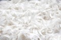 Soft, gentle bird plumage texture for pillow Royalty Free Stock Photo