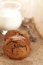 Soft ginger cookie with glass of milk Royalty Free Stock Photo