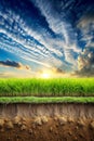 The Gradient Between Grass and Soil Creates a Beautiful Natural Background Royalty Free Stock Photo